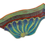 Shell Decoration, 2D shaped board, 20" x 40"